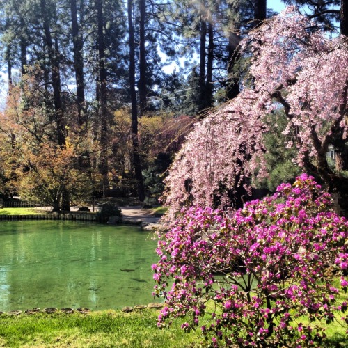 utterlylame:  Manito Park, Spokane, WA
