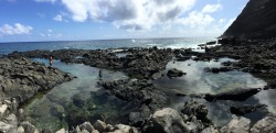 kimberleelynn: Makapu’u Tidepools. Hiking