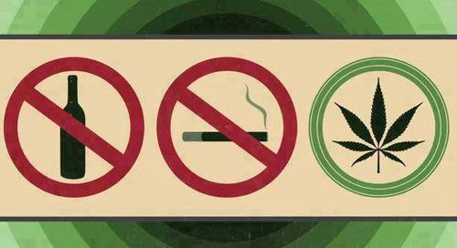 higheramerica:Weed is Welcome…Follow -> higheramerica