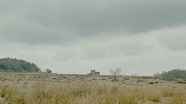 mikewheeler:I am no bird; and no net ensnares me; I am a free human being, with an independent will.