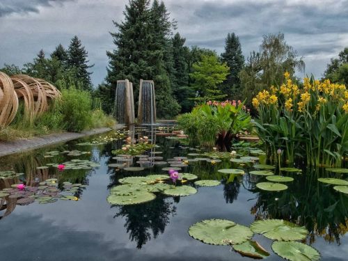 I used to spend a lot of time @denverbotanic . Too many people there now. I miss the peace. #garden