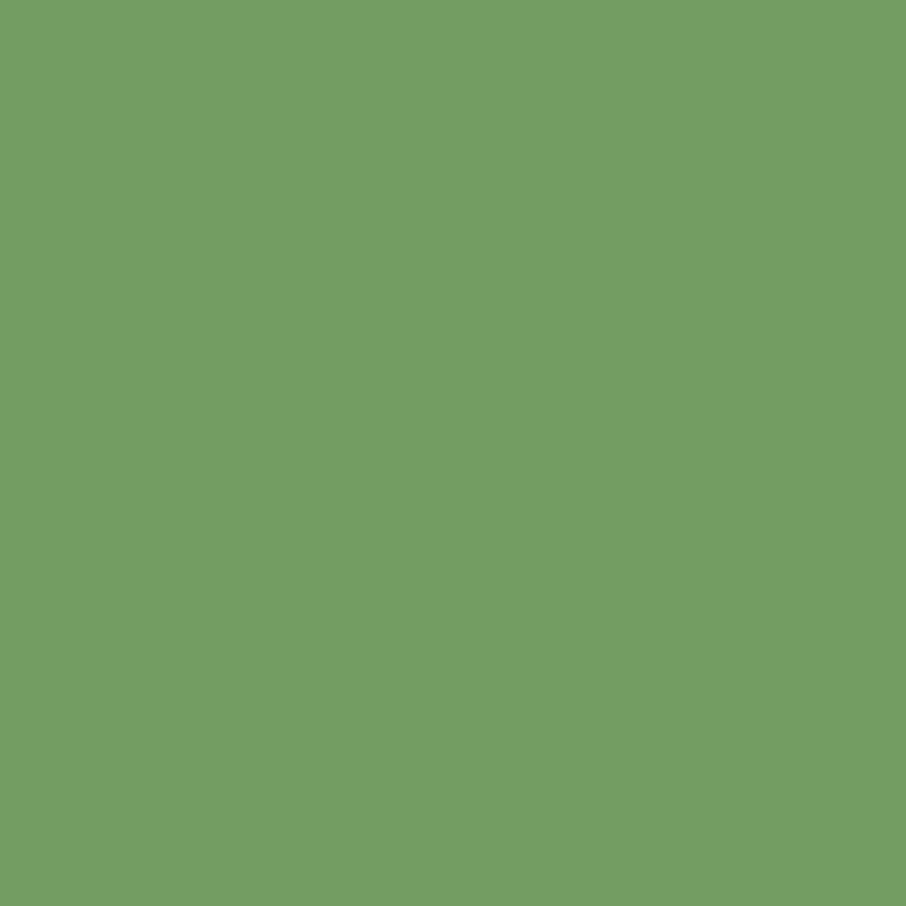 prettycolors:#739d62