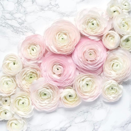 Moodboards: Spring in Paris | by Georgianna Lane