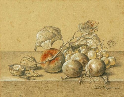 Emilie Preyer: Still life with peaches, grapes, plums and walnuts, 1882.