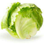 lettucedaddy6-blog