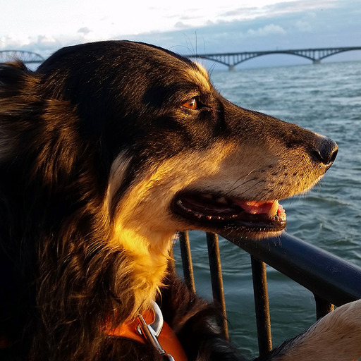 riley-coyotl:Portraits with Juniper