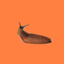 pumpkin-spice-milk-slug avatar