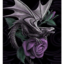 darkkxangel