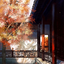 fureahoshina07