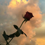 majestictrip14-blog