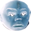 dotcomdropout