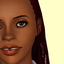 simplifiedsimmisims