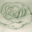 rustyhalo-blog