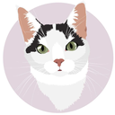 geologycat avatar