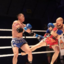 ace-mma