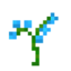 blue-orchid-mc