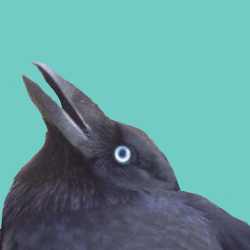 becausebirds:  crowmemes:  here she comes porn pictures