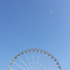 96650223
