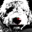 aonda-blogs