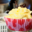 foodandanimalgifs