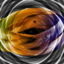 oculianilluvinial