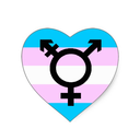 girljournals:  Supporting trans women is