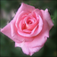 lovebeauty-97