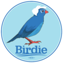 berniesanders2020blog avatar