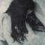 bluenord8