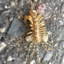 daddyo2015-blog-blog