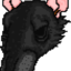 polecatsky