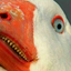 geeseareevil