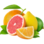 citrus9