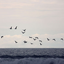 its-pacificsky-blog