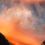 thepaleblueskys
