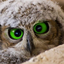 lamfer-blog1