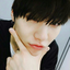 dino--woo