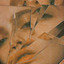 honeyhusk