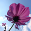 dianalewis-8-blog