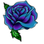 cvcviolet
