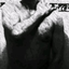 intens23