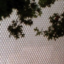 mztagp01