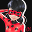 coccinellenoire