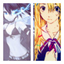 enses--animorum-blog