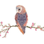 featherr-lust-blog