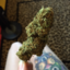 thebakeprincess