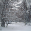 everyseasons