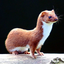 mrmcweasel