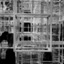 architecture-student-in-london