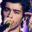 zayntours